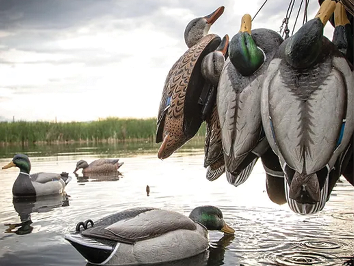 Mean Machines Ducks Unlimited